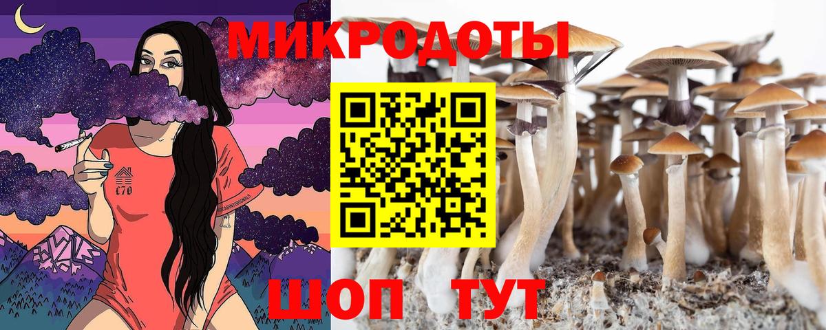 Элиста  Галлюциногенные грибы Cubensis  Вход с VPN 